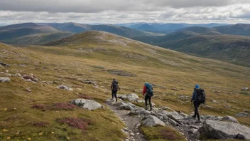 Dovrefjell, pakkeguide, reiseessensielle, reise i Norge, utendørseventyr